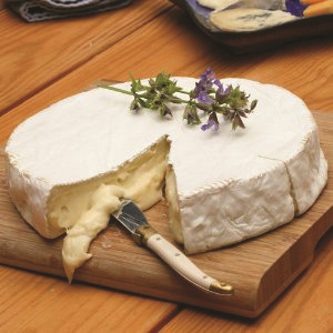 french notre dame brie